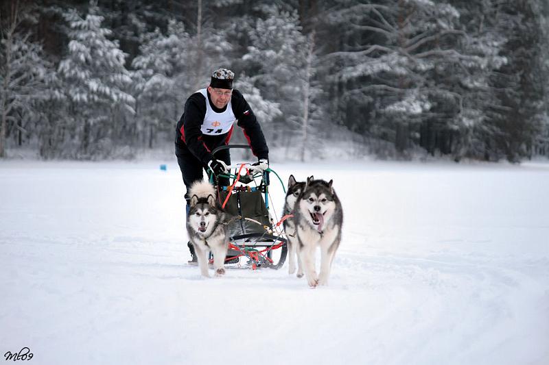 IMG_9332.JPG - Jongunverran Ajot 2009 Aatos kärjessä