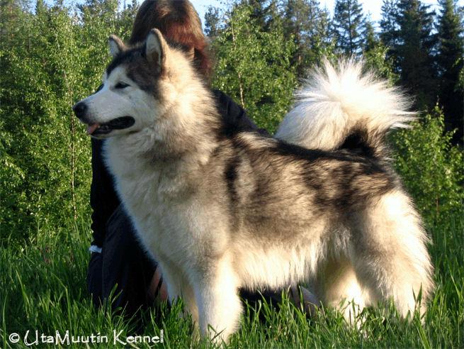 Awa007.jpg - Awa poseeraa.