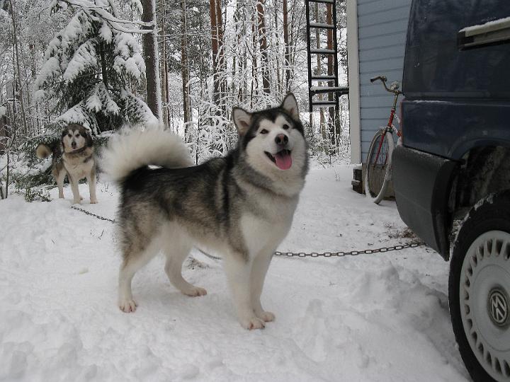 AwaJoulu08_005.jpg - Awa Jouluna 2008 / Awa at Christmas 2008