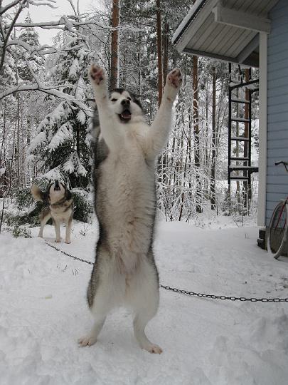 Give_me_five.jpg - Give me Five!