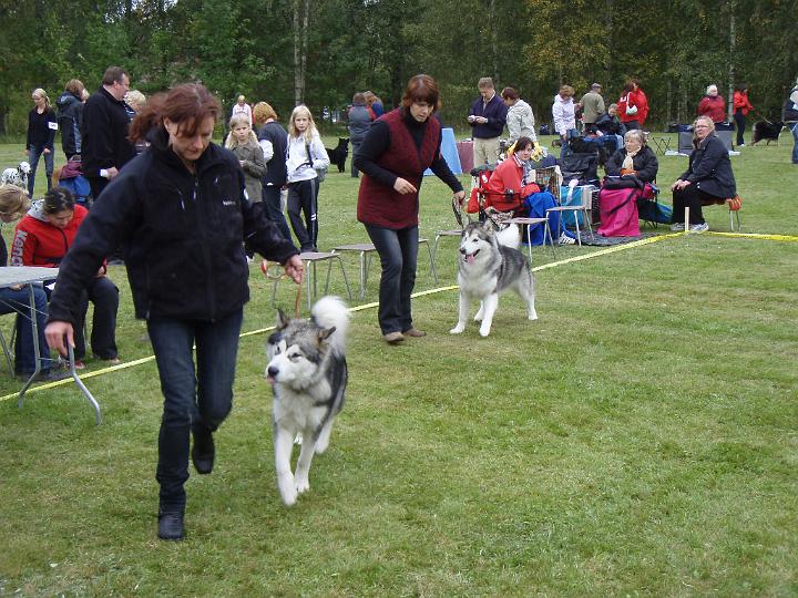 P9140851.JPG - Awa taustalla / Awa at back