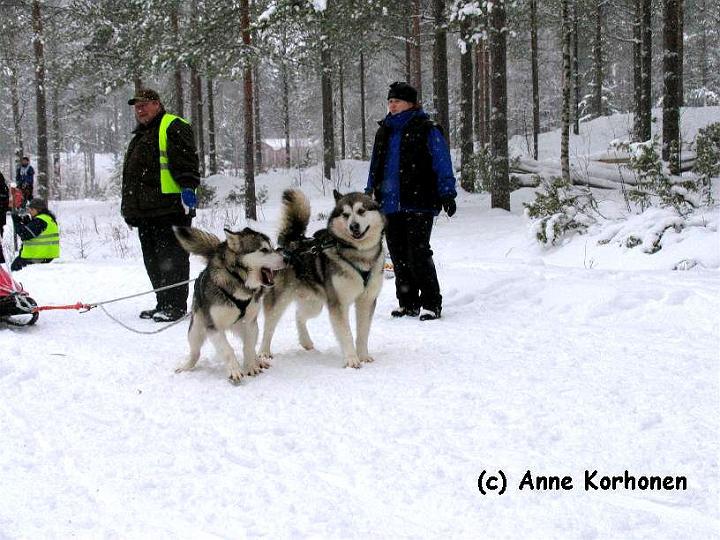 07_Laikku_Repe.jpg - Laikku ja Repe.