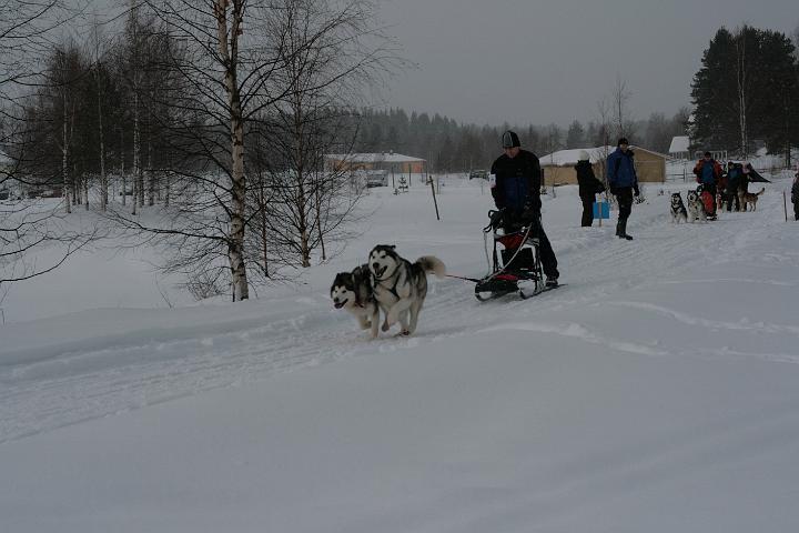IMG_4585.JPG - Awa ja Nicki talvipäivien kisoissa -08/Awa and Nicki in ALMAs winter meeting race-08 (Photo: Pekka Mertala)