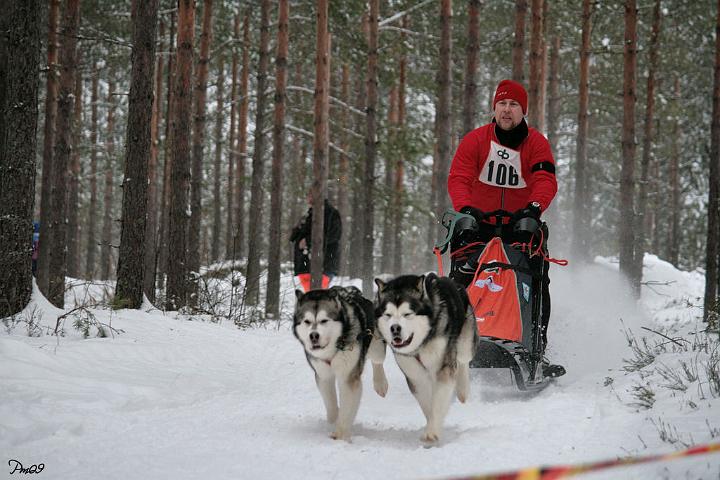 IMG_9725.JPG - Ylämaan Salpasäpinät 2009 Laikku (left) & Antti