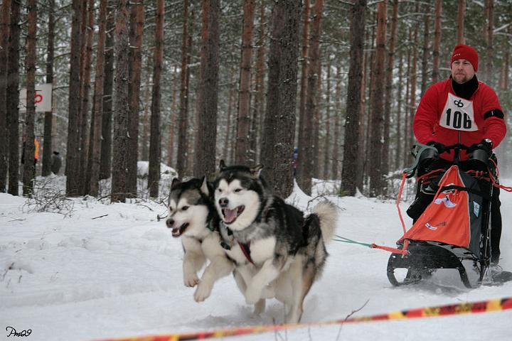 IMG_9726.JPG - Ylämaan Salpasäpinät 2009 Laikku (left) & Antti