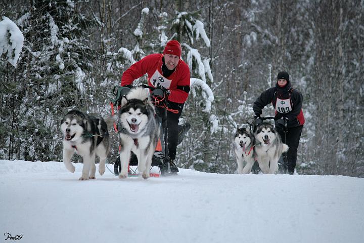 IMG_9757.JPG - Ylämaan Salpasäpinät 2009 Laikku (left) & Antti, behind Awa & Nicki