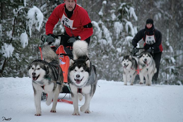 IMG_9759.JPG - Ylämaan Salpasäpinät 2009 Laikku (left) & Antti, behind Awa & Nicki