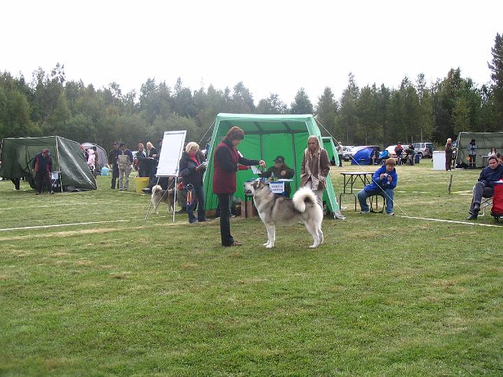 Ypparielo-08_017.jpg - Sari ja Nicki kehässä Yppärissä / Sari handling Nicki in Yppäri Dog Show