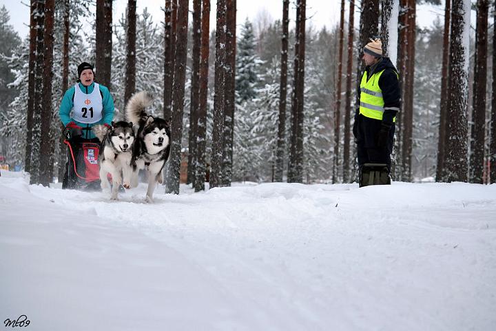 IMG_8650.JPG - Jongunverran Ajot 2009, Laikku (left) & Antti