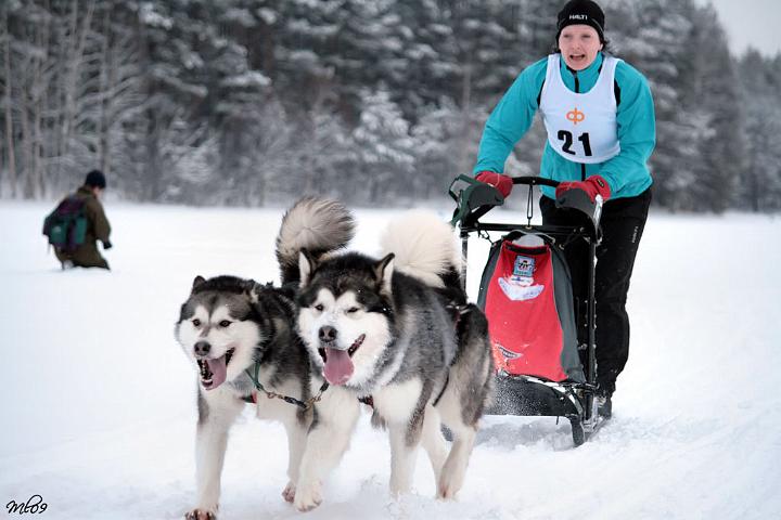 IMG_8705.JPG - Jongunverran Ajot 2009, Laikku (left) & Antti