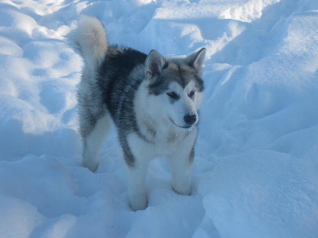 Lila19.2.10_059.JPG