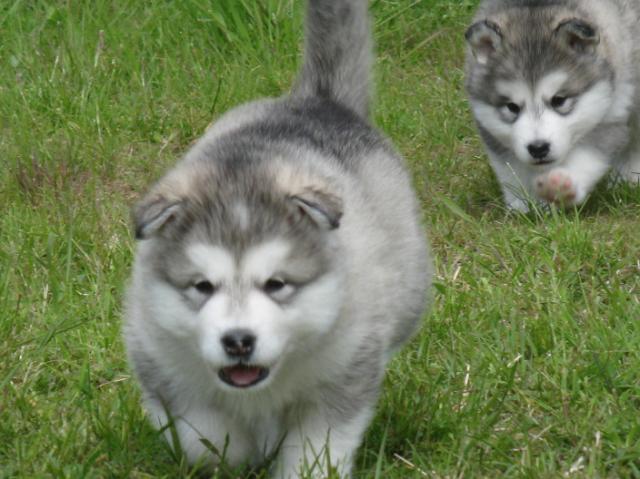 IMG_7785.JPG - 5 weeks