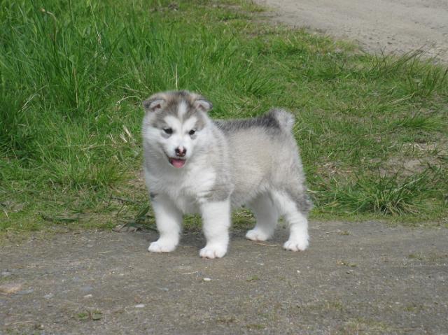 IMG_7808.JPG - 5 weeks