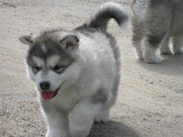 IMG_7813.JPG - 5 weeks