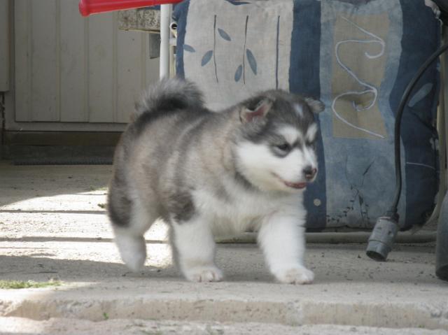 IMG_7818.JPG - 5 weeks