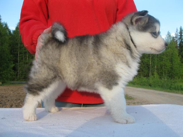 IMG_7952.JPG - Olympia 11.6.2010